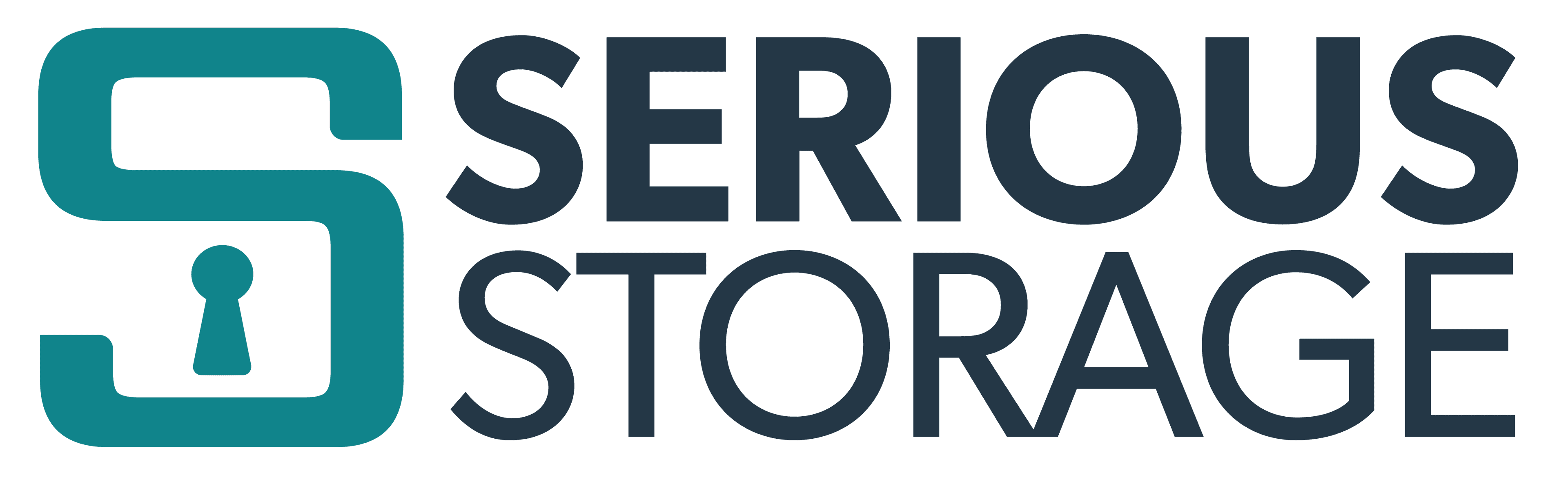 Serious Storage logo